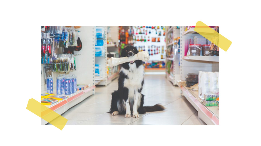 banner-BRASIL-TORNA-SE-O-SEGUNDO-MAIOR-MERCADO-DE-PRODUTOS-PET
