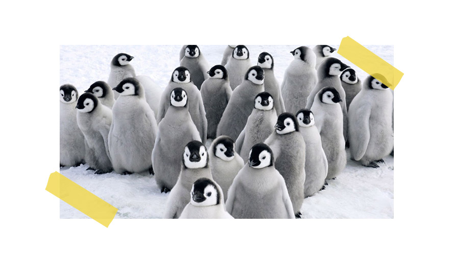 POR-QUE-AS-PESSOAS-TEM-TANTA-DIFICULDADE-EM-FAZER-NETWORKING